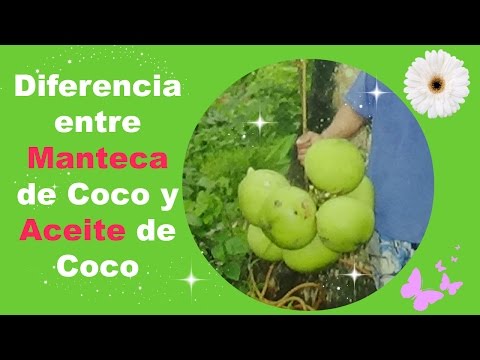 Diferencia entre manteca de coco y aceite de coco: Ingrediente en recetas cosméticas caseras.