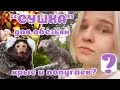 &quot;СУШКА или НАТУРАЛКА&quot;? Вечный вопрос, НО! Для попугая, крысы, суриката?...