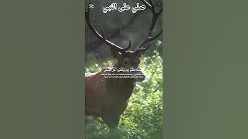آيات مؤثرة من سورة القيامة بصوت جميل#تلاوة_خاشعة #قرآن_كريم