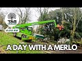 More Merlo Madness! 🪵 | TAG Tree Care 🌳
