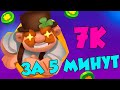 RUSH ROYALE | ЭТО РЕАЛЬНО?!