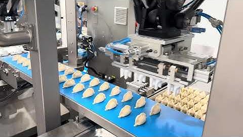 【熟水饺机】#dumplingmaker #dumplingmakingmachine #dumplings #machine #automatic #dimsumfrozen #machine