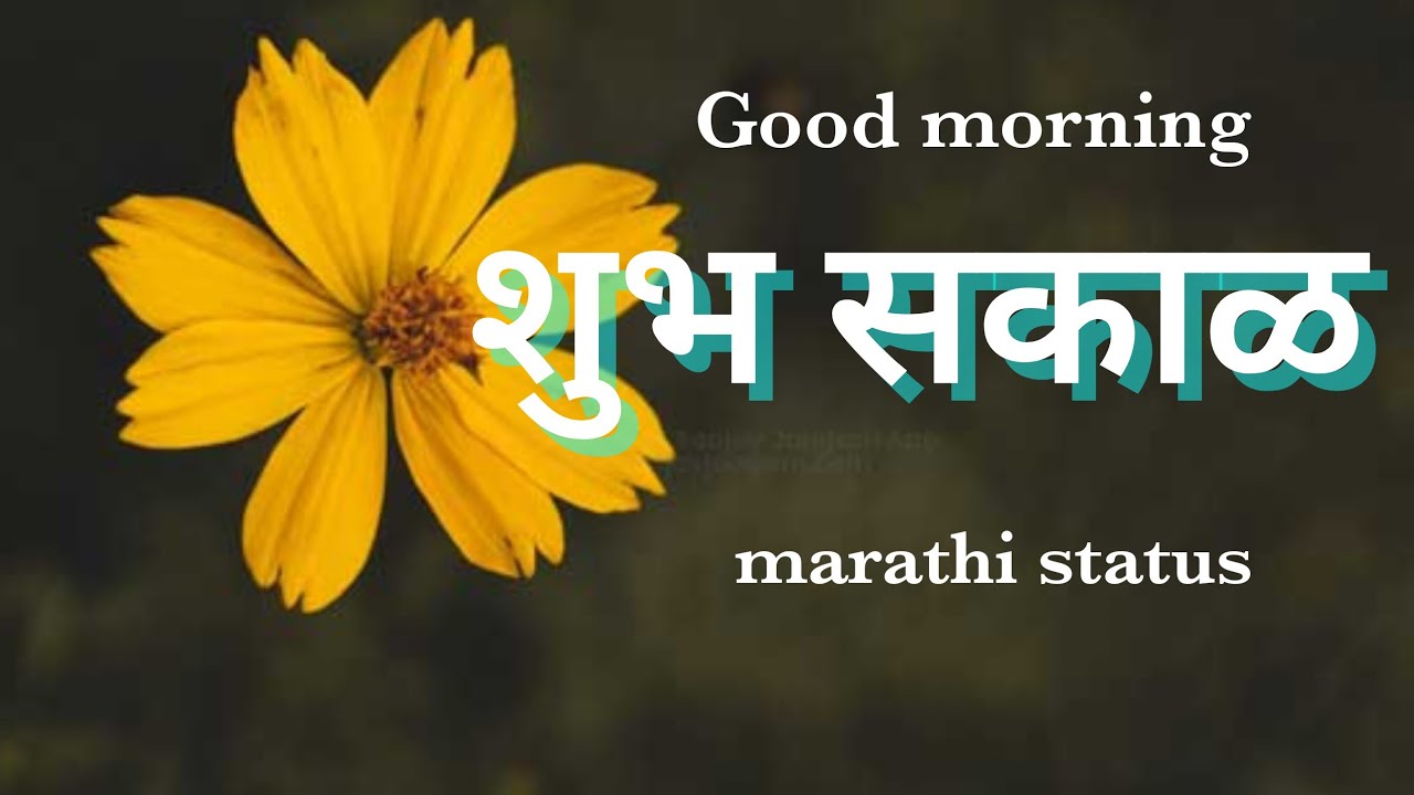 Good morning status in marathi | good morning quotes in marathi | good morning video | शुभ प्रभात