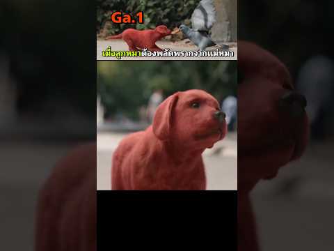Ga.1 เมื่อลูกหมาต้องพลัดพรากจากแม่หมา(สปอยหนัง)