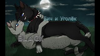 Коты-Воители ⏭️ Бич и Уголёк ♟️Black♟️