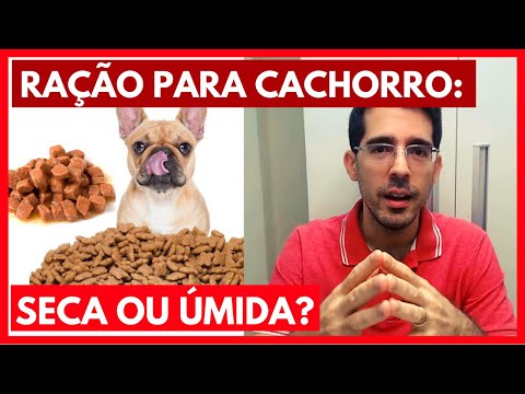 Vídeo: Comida De Cachorro Seca Ou úmida, Ou Ambas?