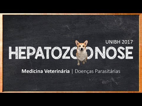 Video: Vorkommen Von Hepatozoon Canis (Adeleorina: Hepatozoidae) Und Anaplasma Spp. (Rickettsiales: Anaplasmataceae) In Schakalen Mit Schwarzem Rücken (Canis Mesomelas) In Südafrika