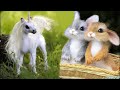 подборка видеороликов о самых милых детенышах животных   милые животные # 19