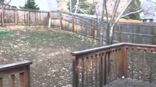 Silent rain interior screenshot 2