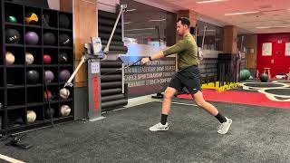 Cable Split Squat - 1 arm Contralateral