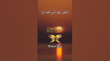 حالات واتس - سورة النازعات الاية (٢٧) - القارئ | اسلام صبحي