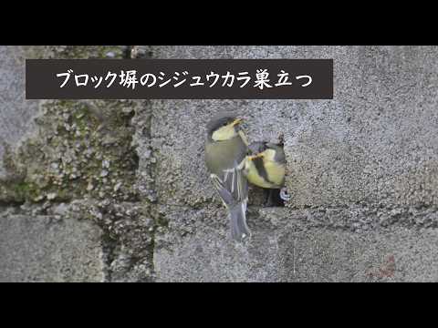 HelloAoba5541 - YouTube
