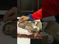 Adorable baby monkey #monkeylove #monkeybaby #adorable #adorablemonkey #babyanimal #monkeysmart