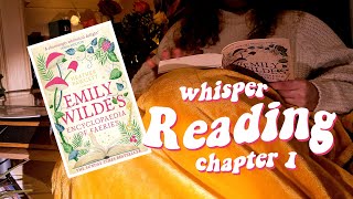ASMR | 📚💤 Reading you a book before bedtime (Whispers + 🔥 Crackling Fire)