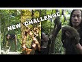 JUNGLE MAN | 6 MONTHS SURVIVAL | New Refuge - Trapping Wild Animals With Fruit | EP 31