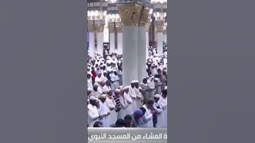 دقيقة بديعة😍للقارئ محمد برهجي من عشاء الثلاثاء 5-4-1446 من المسجد النبوي
