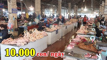 Chợ phiên SAPA LÀO CAI bán nhiều đặc sản & thảo dược nhất Tây Bắc | Tôi Người Vùng Cao