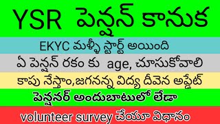 ysr pension kanuka live ekyc process/ e-KYC verification update 2021 in telugu/nayak telugu channel