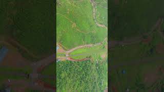 Chembra Peak Route#wayanad #kerala #hills #nature #inature #reels #shortvideo #inature
