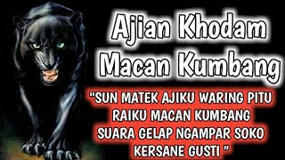 Ajian Khodam Macan Kumbang