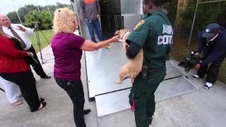ASPCA rescue