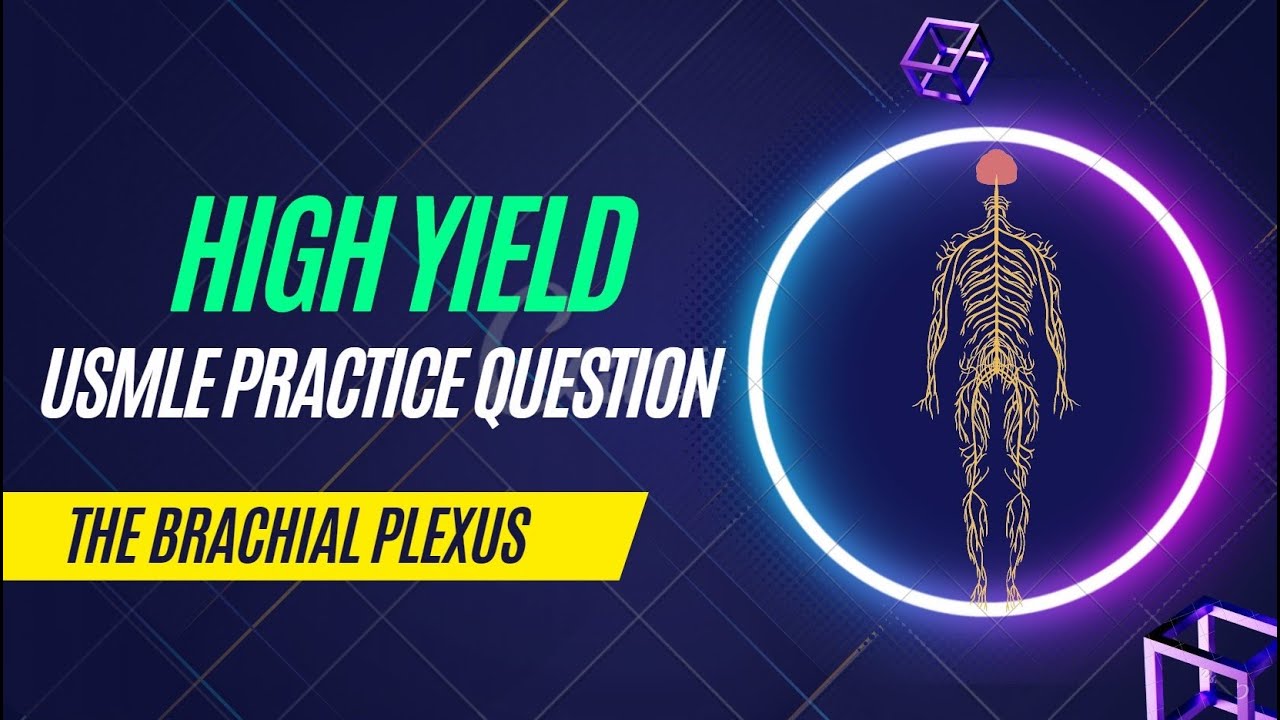 High Yield USMLE Practice Question | Brachial Plexus Lesions