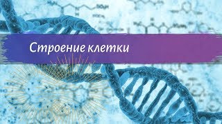 Биология 9 класс Пасечник $6 Строение клетки Биология 9 класс Пасечник $6 Строение клетки