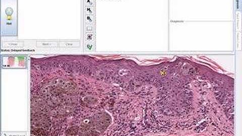 SimTutor - Introduction