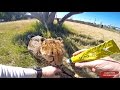 Human Enrichment & Taming Wild Captive Animals - Giving Medical Attention To A Handicap Cheetah Cat