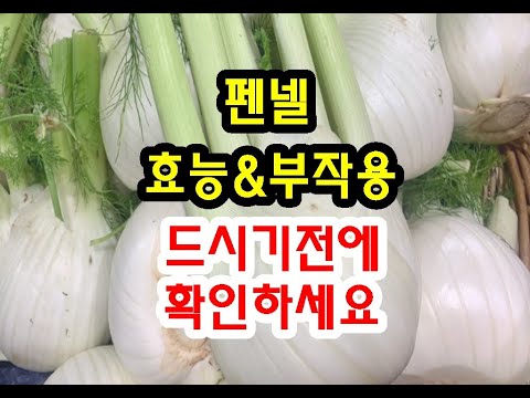 펜넬 효능과 부작용 드시기전에 확인하세요~