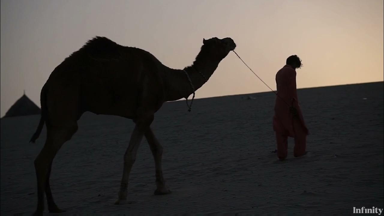 Arabian Cinematic Music (Aaron Kenny - Desert Caravan) Arabian Cinematic Music (Aaron Kenny - Desert Caravan)