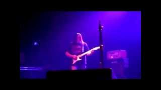 Bull Terrier - Sometimes They Come Back