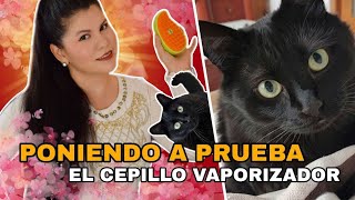 CEPILLO VAPORIZADOR ¿Funcionará?  Lo ponemos a prueba