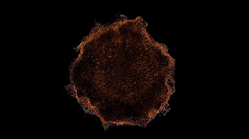 New Shockwave Particles Explosion Different Colors Smoke Wave Effect Black Screen