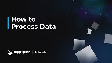 Platform Tutorials | How To Process Data | White Rabbit Intel