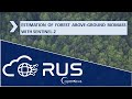 RUS Webinar: Estimation of Forest Above-Ground Biomass with Sentinel-2 - PY02