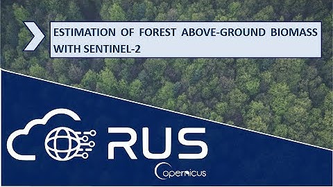 RUS Webinar: Estimation of Forest Above-Ground Biomass with Sentinel-2 - PY02