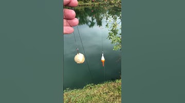 Let’s Break BREAD - Big Fish Hack! 🎣🍞🥖🥐 #shorts