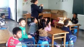 A Volunteer Story