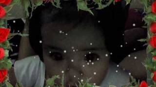 Capture 20090616