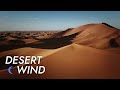 Desert wind sound  10 hours  stress relief  meditate  sleep  study  desert winds