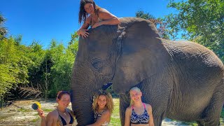 LADIES WASH A 9,000lb ELEPHANT !
