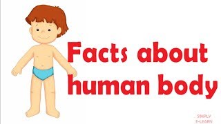 Human body facts for kids - children - facts about human body - Simply E-learn Kids