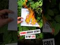Burned this Secret 🤫🔥📄 #youtubeshorts #shorts #marketingtruths #marketingsecrets #marketing #LeminAi