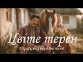 Цвіте терен Українська народна пісня OnoychenkoCoverMusic