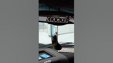 Breaking in 2 brand new 12" Kicker Solo Baric L7s