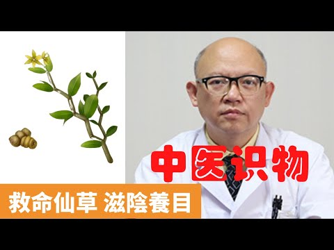 鐵皮石斛的功效與作用【保健養生】生生不息