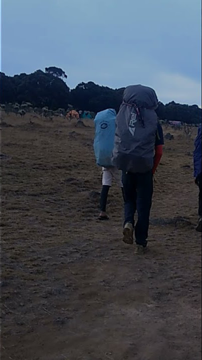 alun alun surya kencana gunung gede