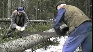 Skogsavverkning på 50-60 talet i Knivarp