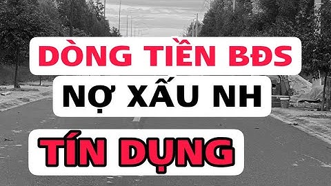 Video 42: Dòng tiền bđs nợ xấu 